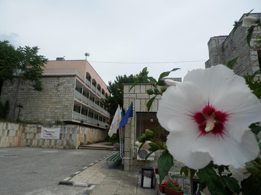 Olimpia Supersnab Hotel Balçık Dış mekan fotoğraf